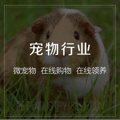 呼和浩特宠物