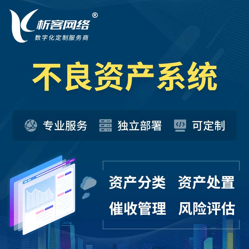 呼和浩特不良资产管理系统